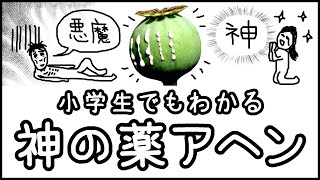 【神か？悪魔か？】人類に天国と地獄をもたらした神の薬「アヘン」とは何か？【科学史・ざっくり解説】