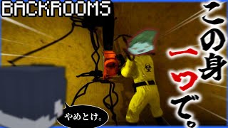 バケモノから逃げるばかりじゃねえ！！！【Escape the Backrooms】