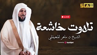 روحانية فريدة مع تلاوات خاشعة || سورة الأنبياء، هود، الملك، ومريم | بنية الرزق والتوفيق