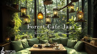 森のカフェジャズミュージック |ストレス解消、勉強、仕事のための自然療法を取り入れた朝の静かなジャズ のサムネイル