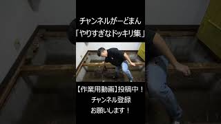 「流石にやりすぎなドッキリ集」 #チャンネルがーどまん #切り抜き＃shorts