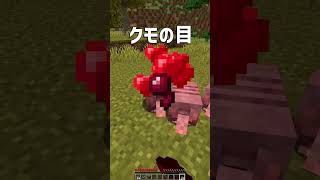 1.20.5アプデ情報！アルマジロとオオカミ！#shorts 【マイクラ】【替え歌】