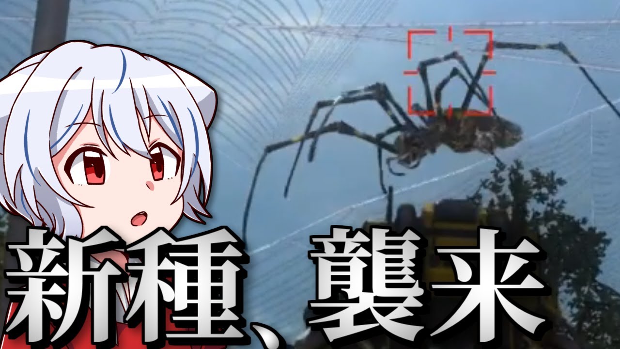 サムネ