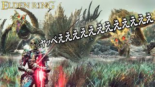 1ミリも知らない男がやらかした超高難易度の死にゲー｜ELDEN RING - エルデンリング - #６