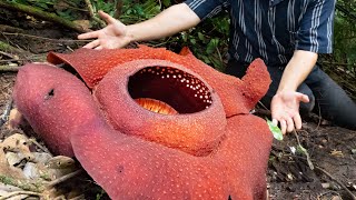 うわああああああああああああ！！！！！！！！！！！ のサムネイル