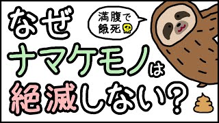 【コスパ最強説】小学生でもわかる・ナマケモノはなぜ絶滅しないのか？【科学・ざっくり解説】