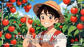 【ゆったりジブリ】ジブリメドレーピアノ🌹史上最高のピアノジブリコレクション