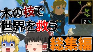 【ゼルダの伝説　ティアキン】＃総集編「木の枝」縛りで風の勇者が旅立つ【ゆっくり実況】 のサムネイル