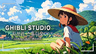 2時間のジブリ夏 🎨 仕事、勉強、リラックスのためのジブリピアノBGM
