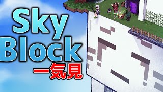 【Minecraft】一気見！！のんびり 納品スカイブロックまとめ(ゆっくり実況) のサムネイル