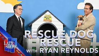 Rescue Dog Rescue with Ryan Reynolds のサムネイル