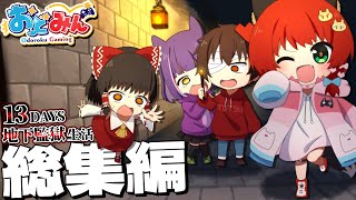 【脱獄マイクラ】一気見！ポンコツたちの13Days地下監獄生活   #総集編    ※本編終了後にオマケ映像あり【ゆっくり実況】【#おどみん】 のサムネイル