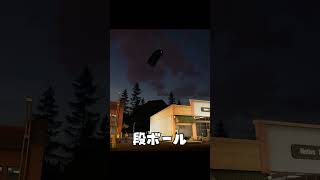 段ボールをのせるとこの世から消滅するバグ