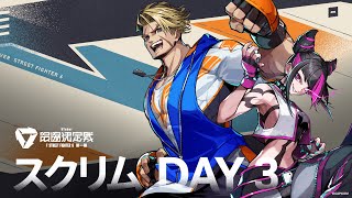 【#V最協第一幕】スクリム配信 3日目【V最スト6】