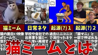 今一世を風靡しているネットのネタ、「猫ミーム」とは一体なんなのか...？？【ゆっくり解説】