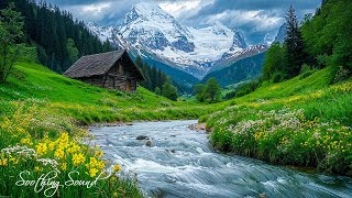 Relaxing music that heals stress, anxiety and depressive conditions, heals, gentle music