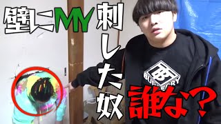 【サブ切り抜き】〇〇やった奴誰な？集 のサムネイル