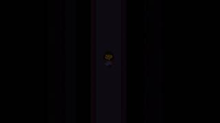 undertale_vhs.mp4