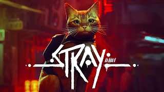 プレイヤーが「 猫になって大冒険する 」ネコ視点の名作ゲーム『 Stray -ストレイ- 』