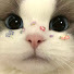 アイコン