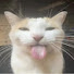 アイコン