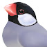 アイコン