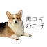 アイコン