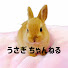 アイコン