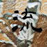 アイコン