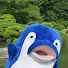 アイコン